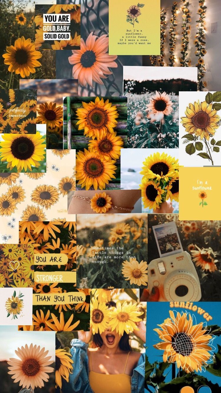 Aesthetic phone background collage of sunflowers and polaroid pictures - Sunflower