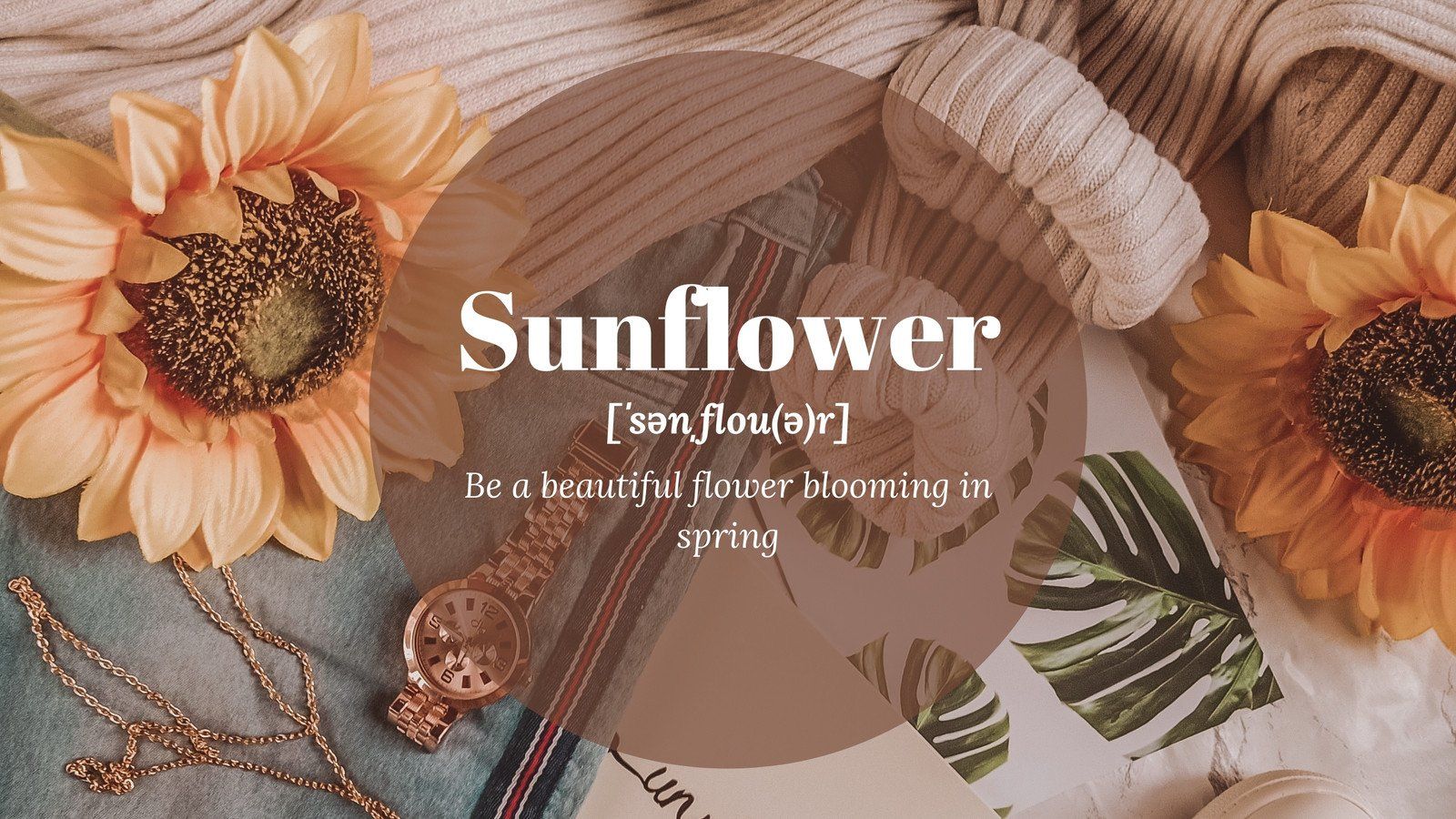 Sunflower, a beautiful flower blooming in spring. - Sunflower