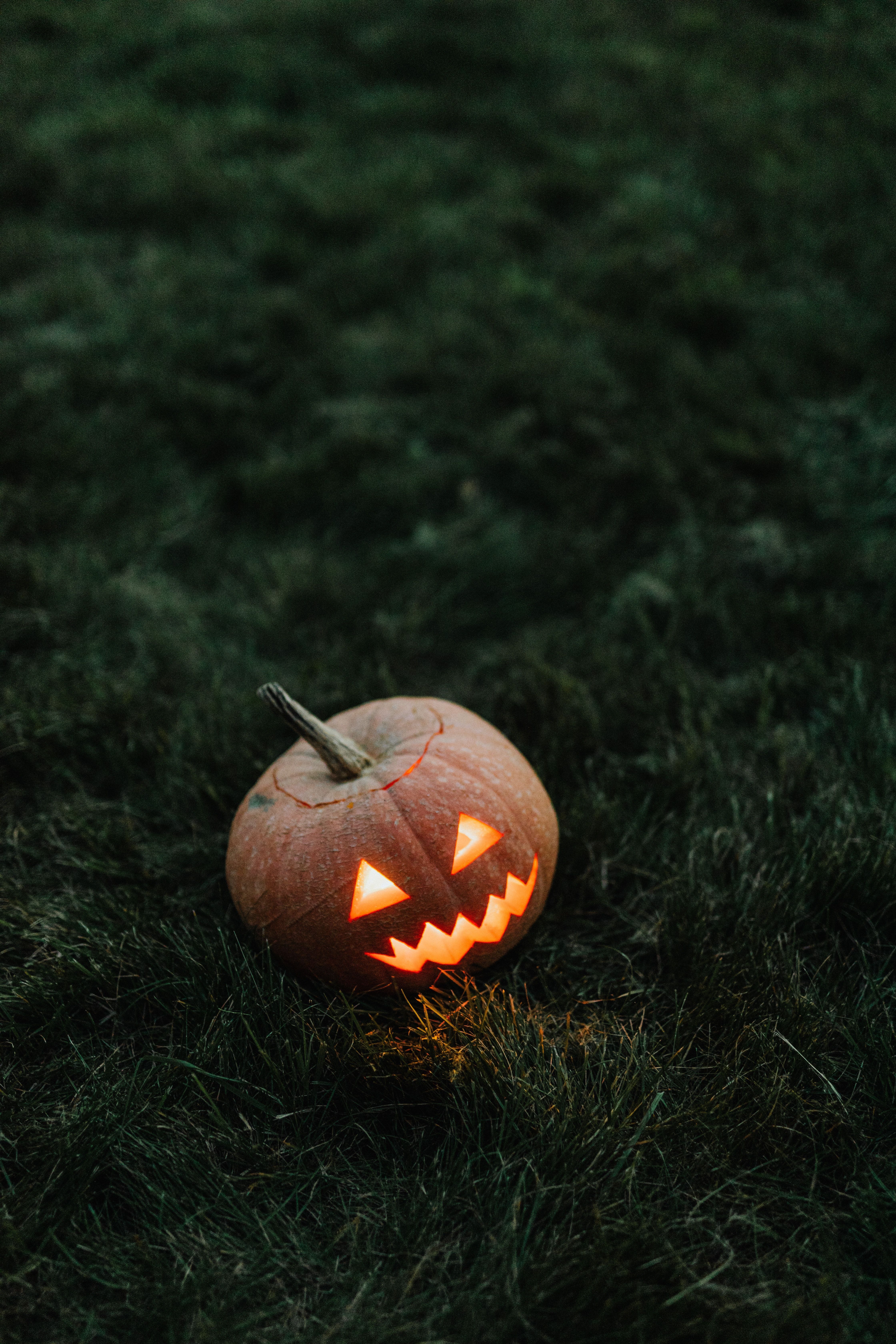 A jack o lantern sitting on the grass - Halloween, spooky