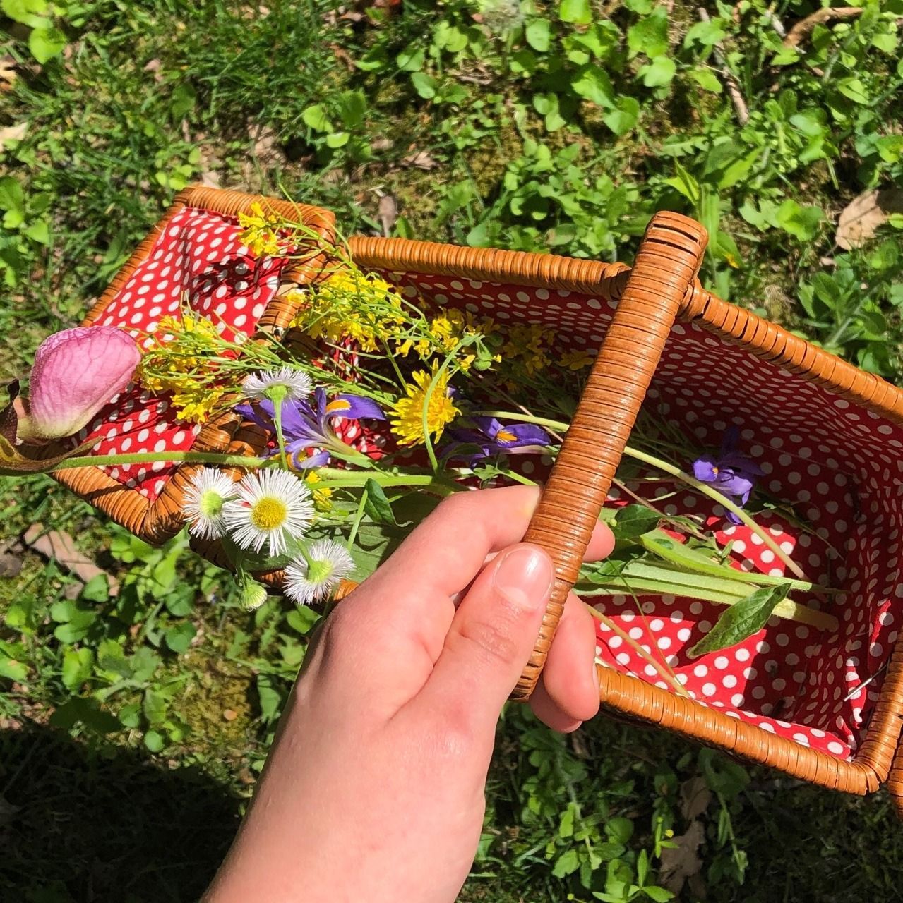 A hand holding a wicker basket filled with wildflowers. - Cottagecore