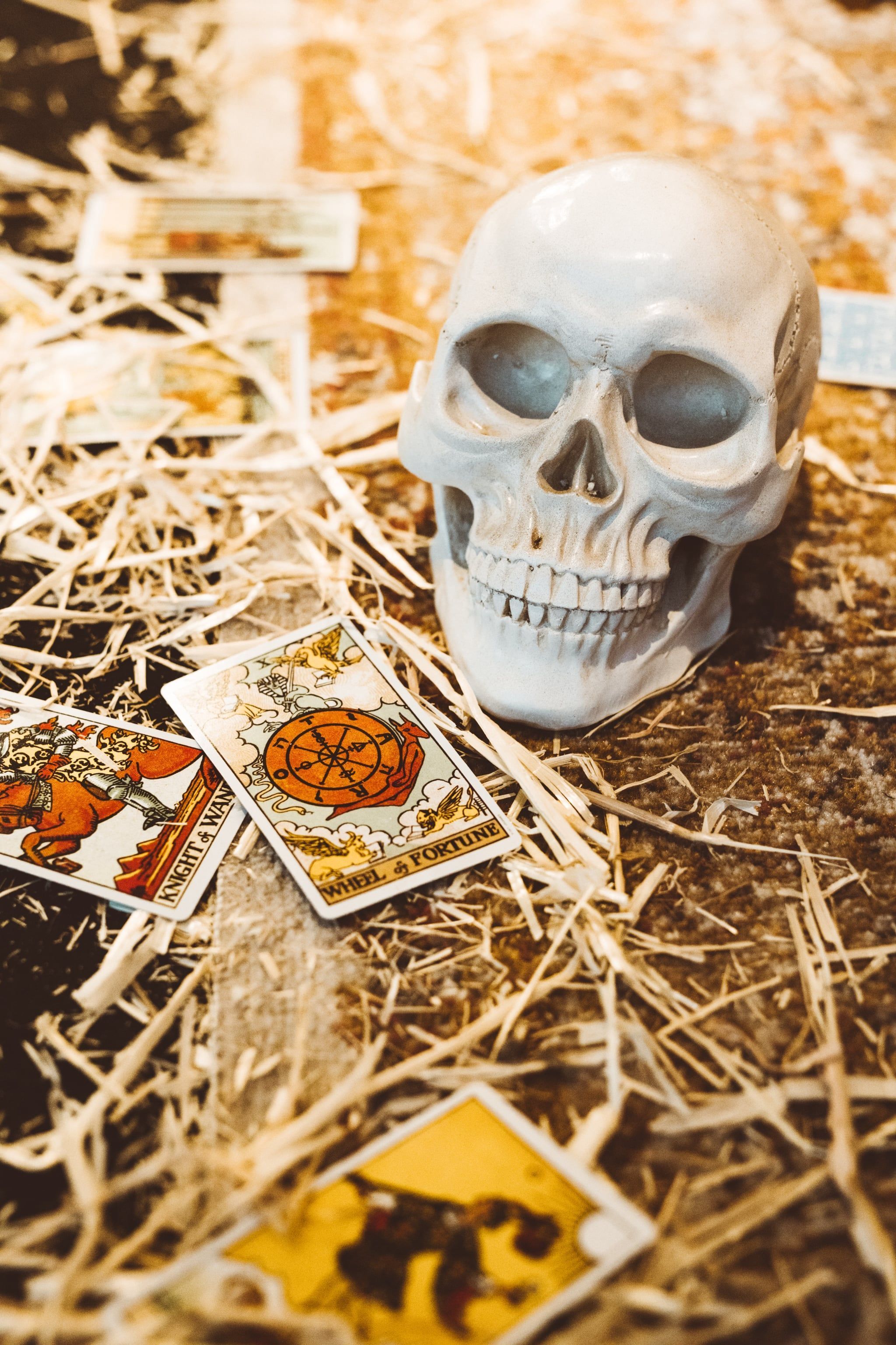 A skull and tarot cards on a straw covered table. - Halloween, creepy, skull, skeleton, spooky
