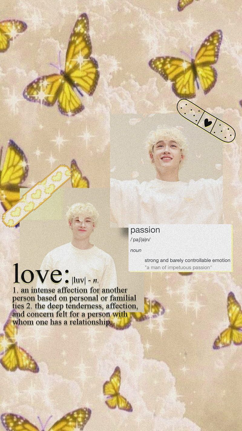 Aesthetic background with butterflies and the word love - Bang Chan