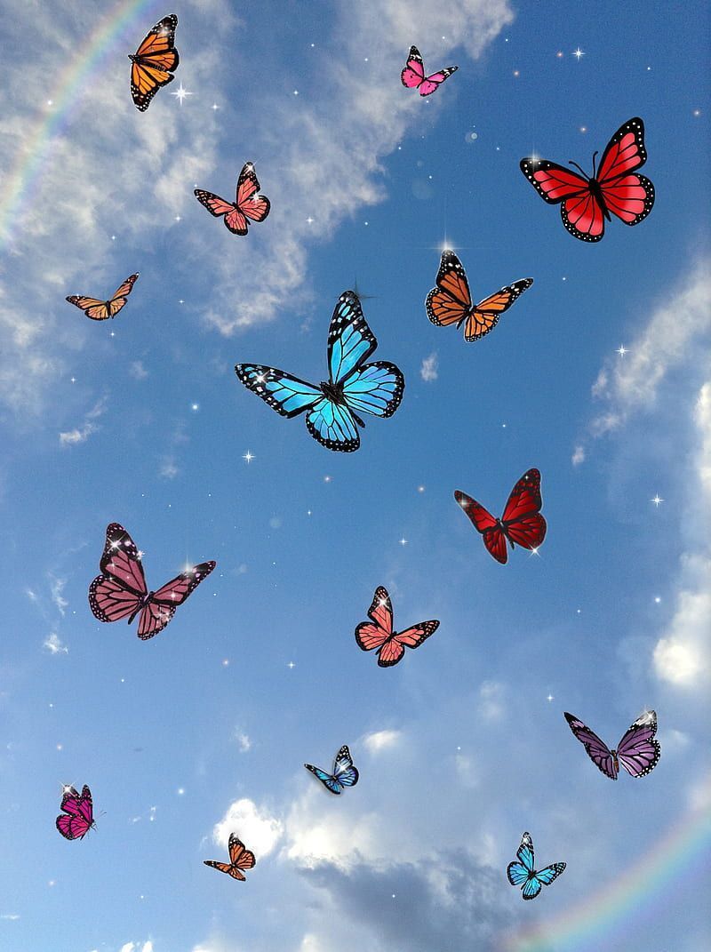 Butterfliesbling, aesthetic, bling, butterflies, butterfly, wings, HD phone wallpaper