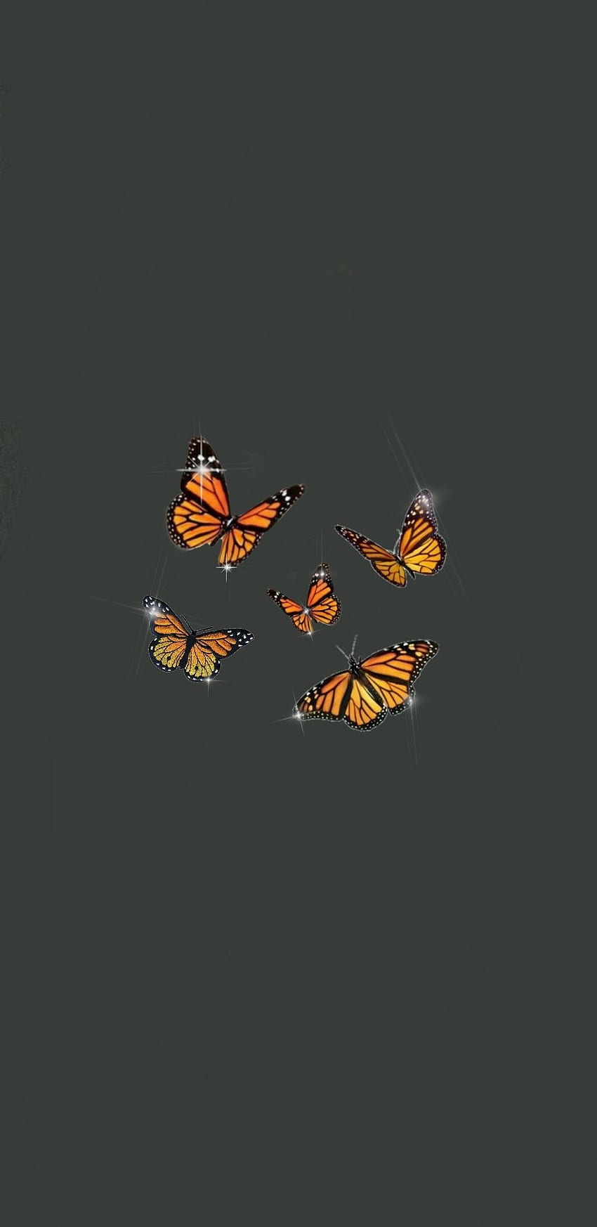 Aesthetic wallpaper of a group of orange butterflies flying - Bling