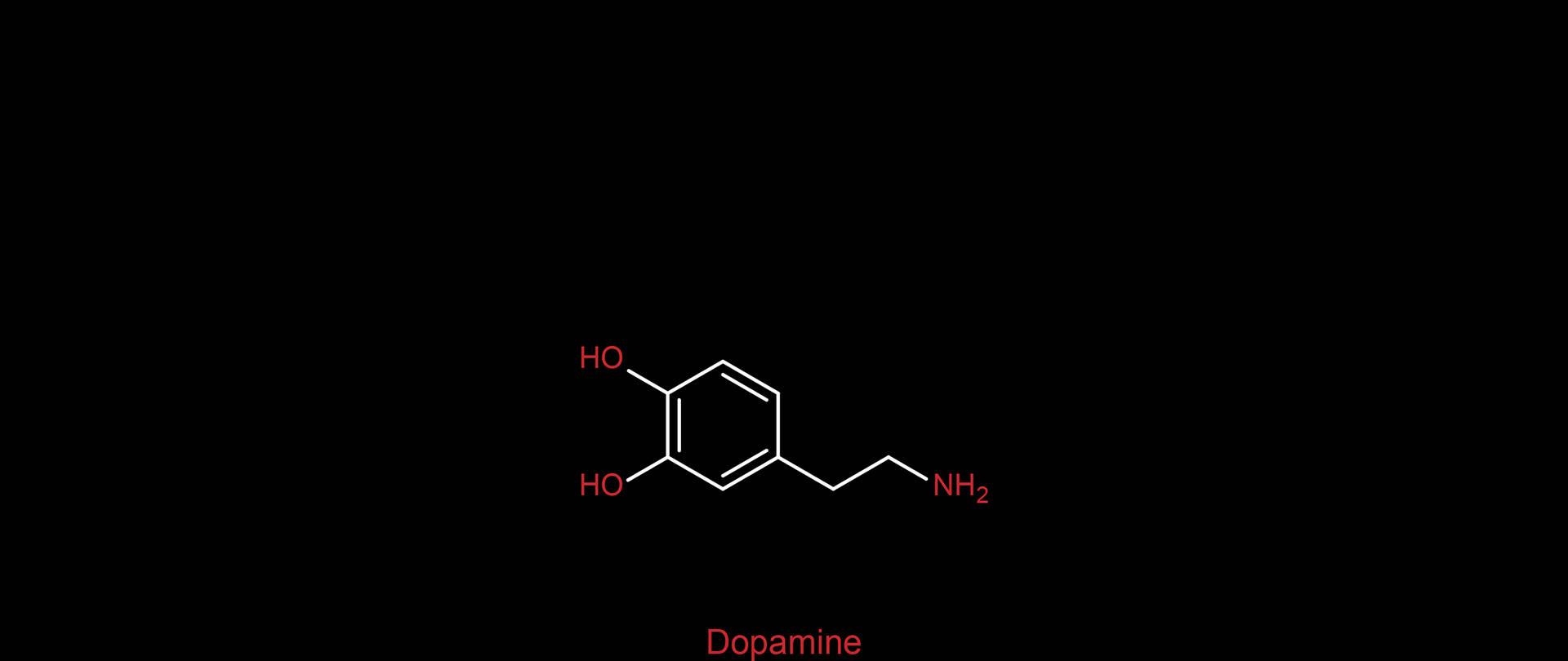 A chemical formula for the molecule of dodecan - Chemistry