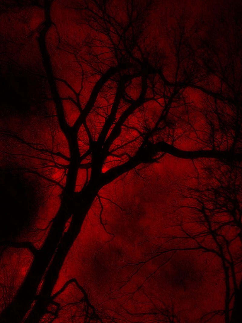 A red sky with trees in the foreground - Crimson