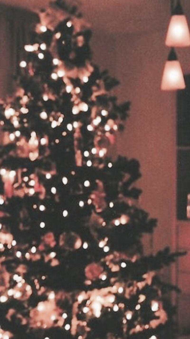 A Christmas tree with lights in a room. - White Christmas, warm, Christmas lights