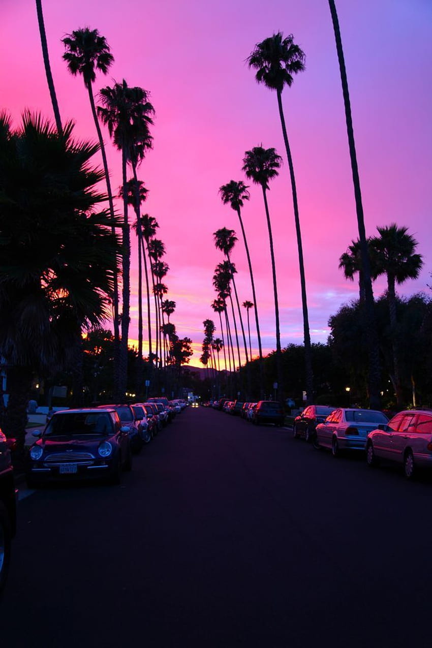 A street with palm trees and cars at sunset - California