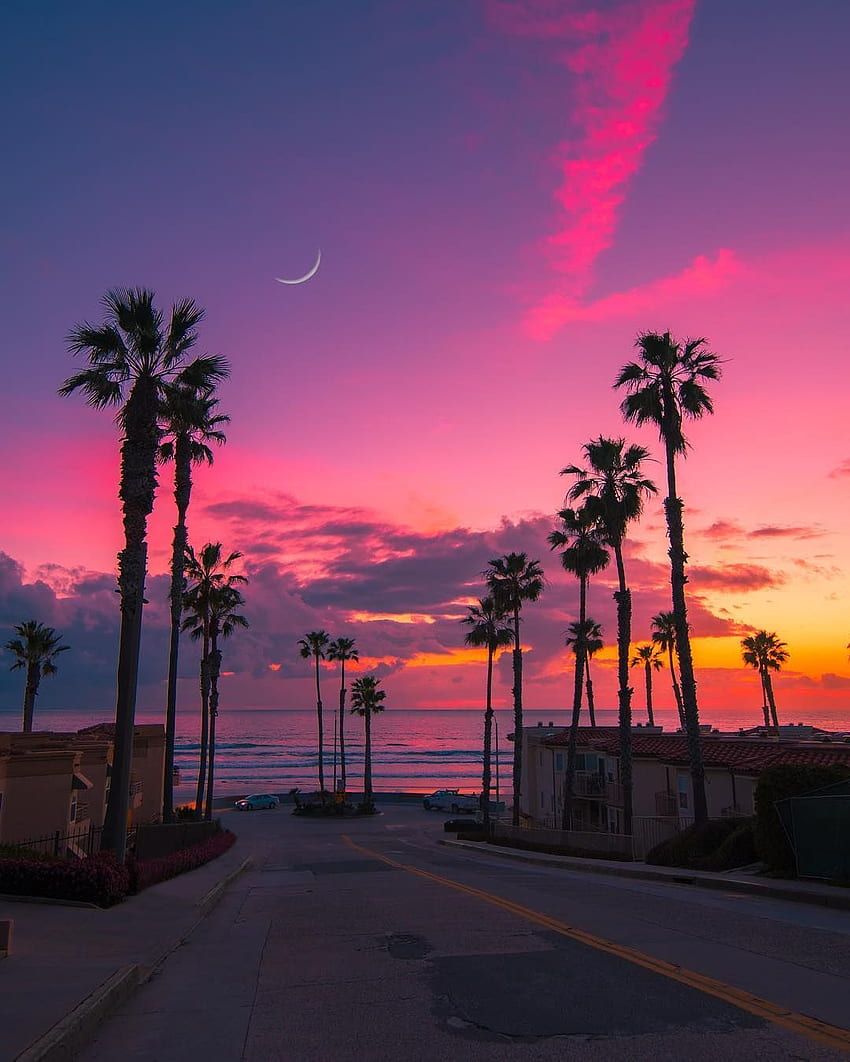 A pink and purple sunset over a palm tree lined street - California, sunrise