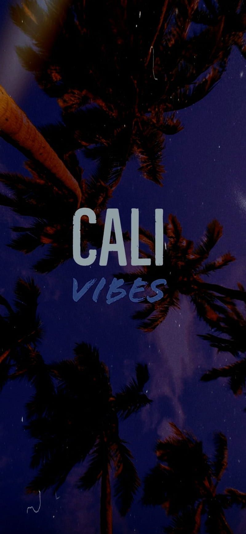 California Vibes, aesthetic, america, beach, la, night, palms, tree, usa, vibe, HD phone wallpaper