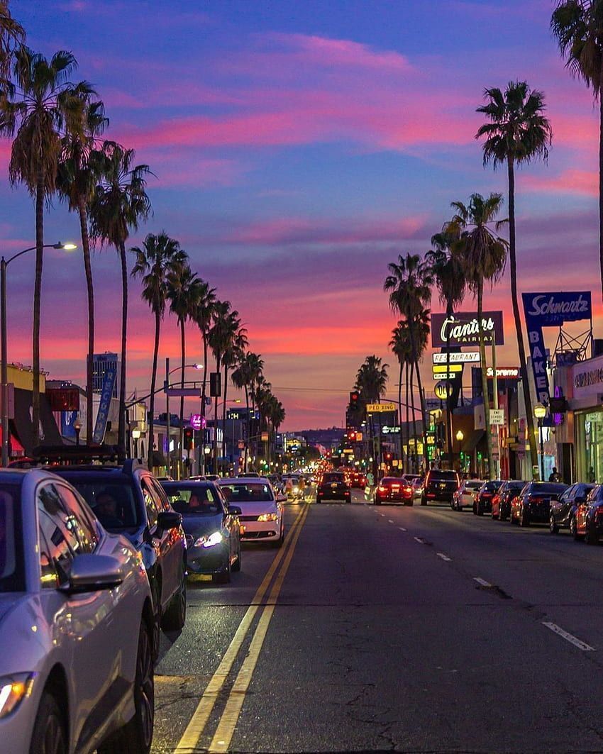 A city street with palm trees and a sunset in the background - California, Miami, Florida