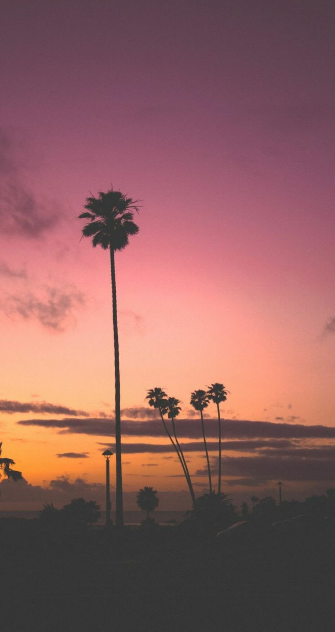 IPhone wallpaper of palm trees in front of a sunset - California