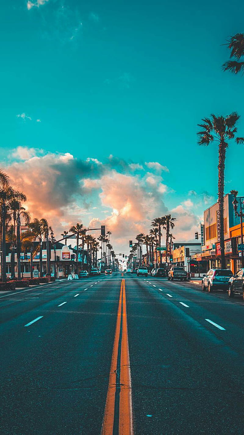 A city street with palm trees on the side of the road - California