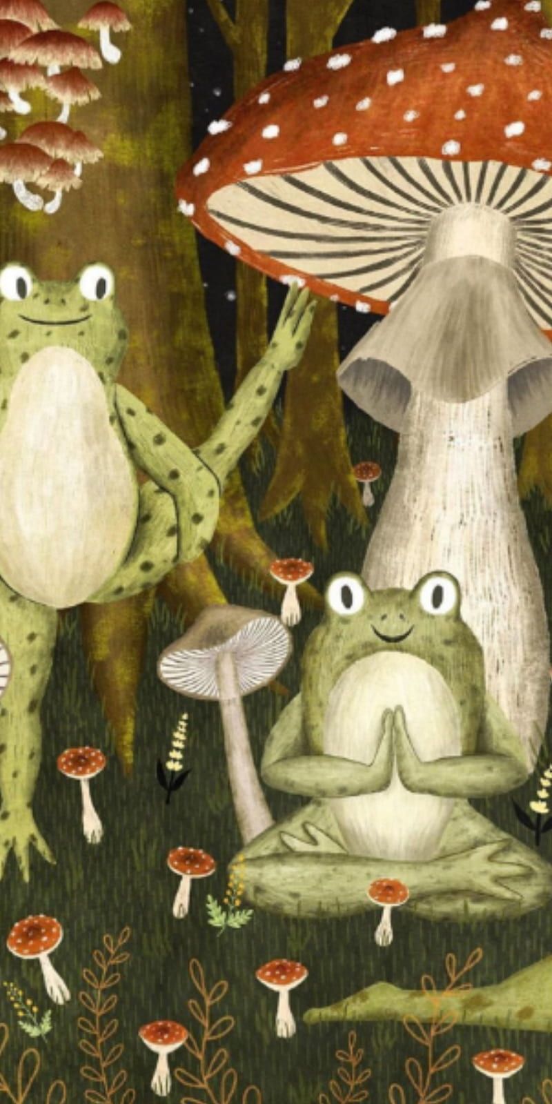 HD frog on mushrooms wallpaper