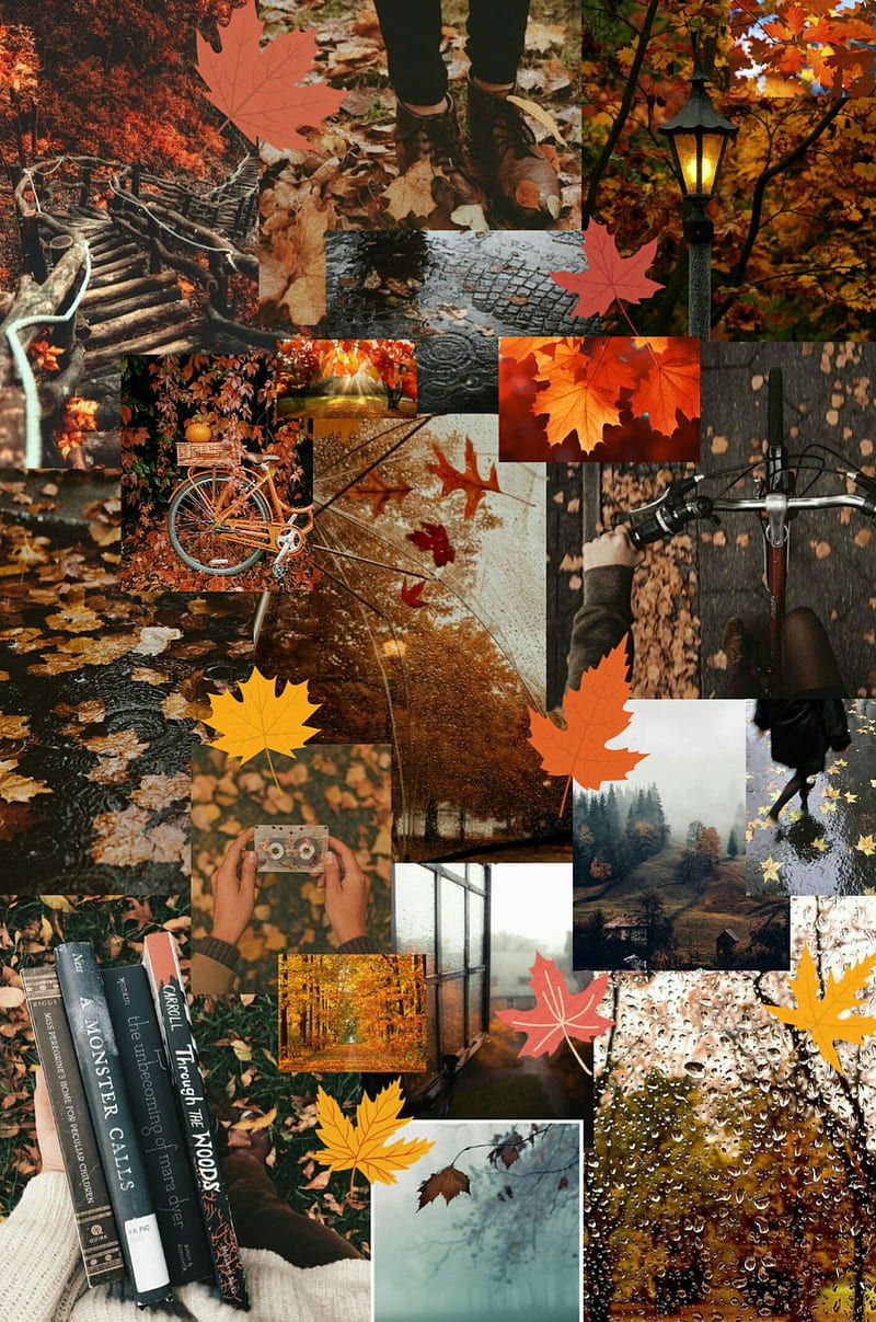 A collage of different images of autumn leaves, a bicycle, a lamp post, and books. - Fall, leaves