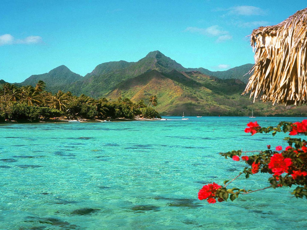 A clear blue lagoon with red flowers in the foreground and mountains in the background.  - Beach