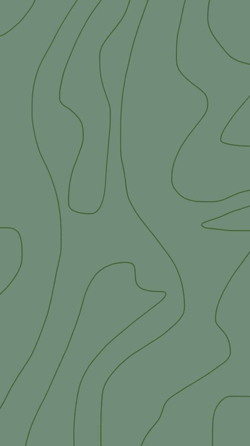 An abstract image of a topography map in green - Sage green
