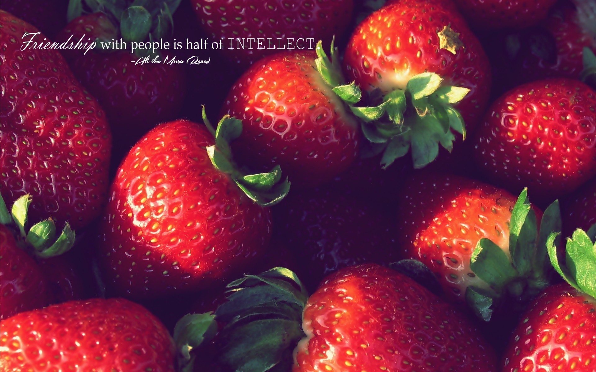 Wallpaper : people, quote, food, depth of field, fruit, strawberries, Islam, Imam, Ali ibn Musa, plant, strawberry, produce, frutti di bosco 1920x1200