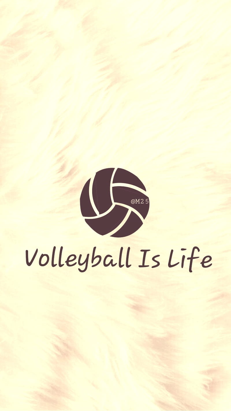A volleyball logo on the cover of an album - Volleyball
