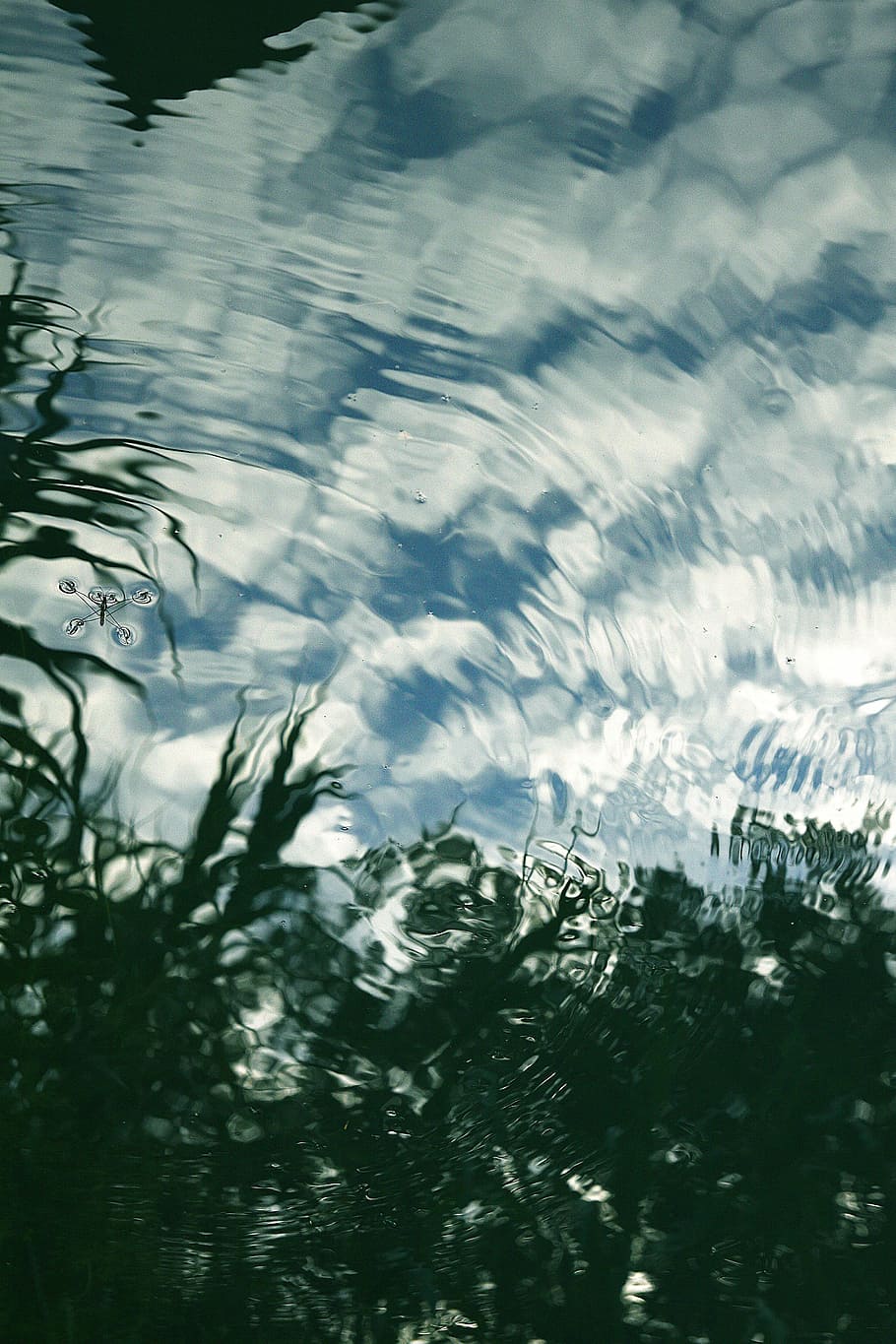 A photo of a pond with ripples in the water and the sky reflected on the surface. - Water, lake