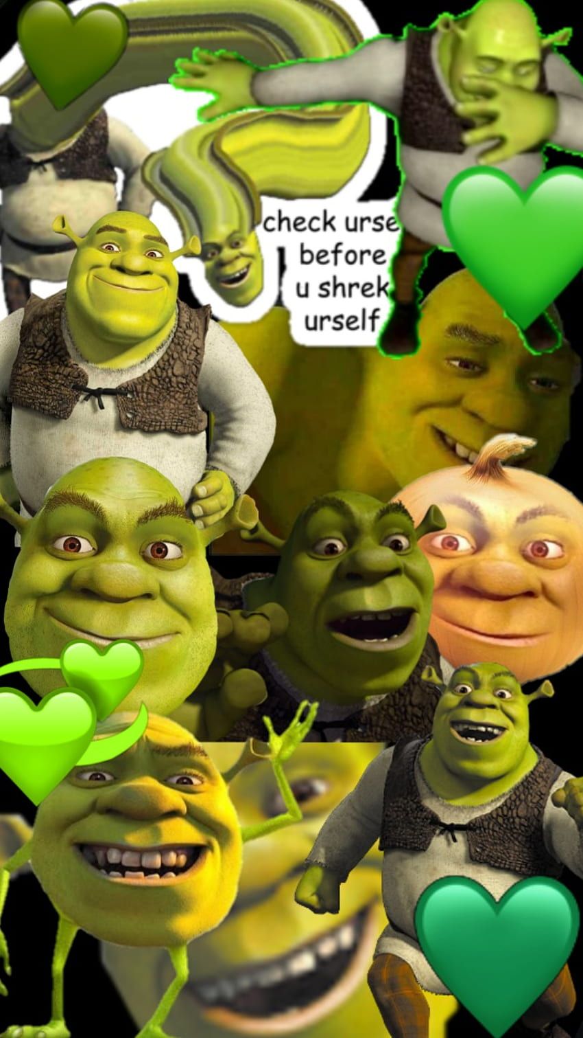 Shrek is a green ogre who is a true hero. - Shrek