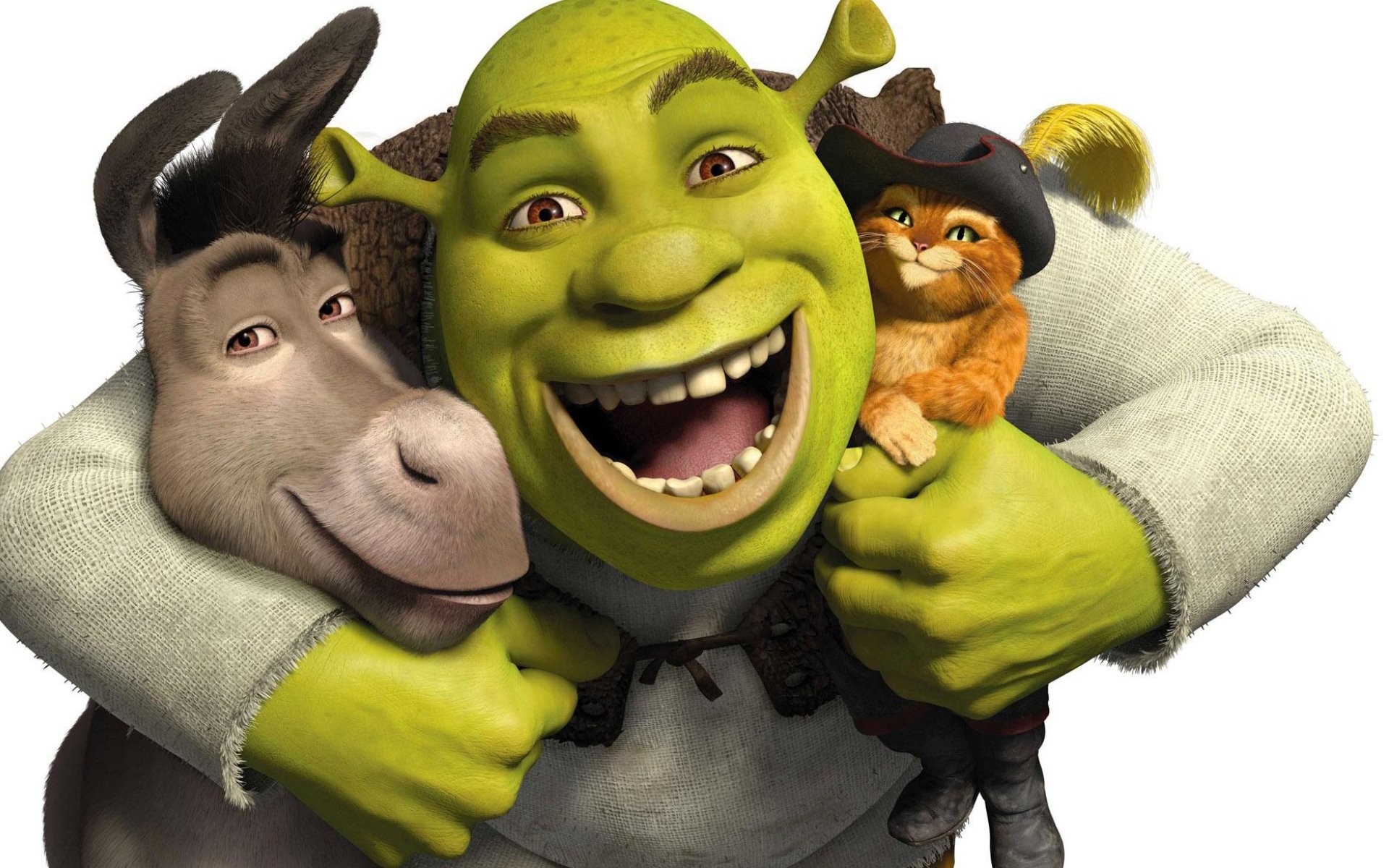 Shrek is a green ogre who is the main protagonist of the Shrek franchise. - Shrek