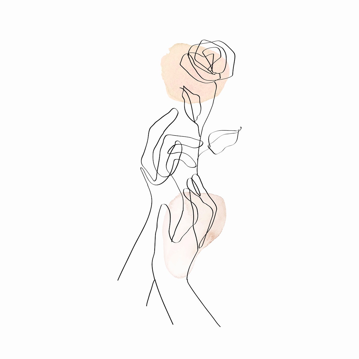 A minimalist line art illustration of a woman's hands holding a rose. - Abstract, art