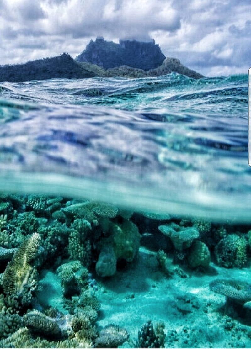 Underwater, blue, coral reef, mountain, ocean, pretty, summer, teal, tropical, HD phone wallpaper