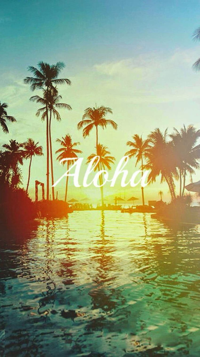 A sunset scene with palm trees and the word aloha - Hawaii