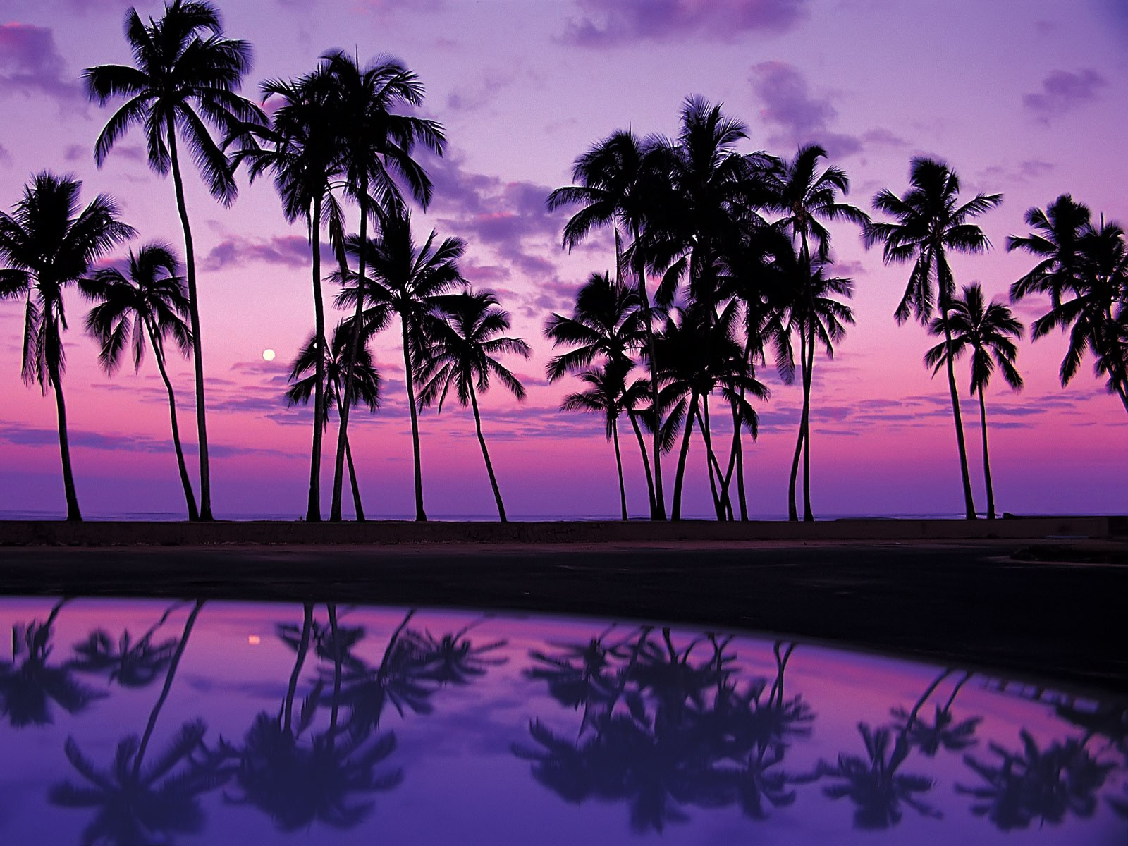 Free download Wallpaper tropics sunset USA reflection Oahu palm Hawaii lilac [1600x1200] for your Desktop, Mobile & Tablet. Explore Hawaii Sunset Picture Wallpaper. Hawaii Sunset Wallpaper, Sunset Background Picture