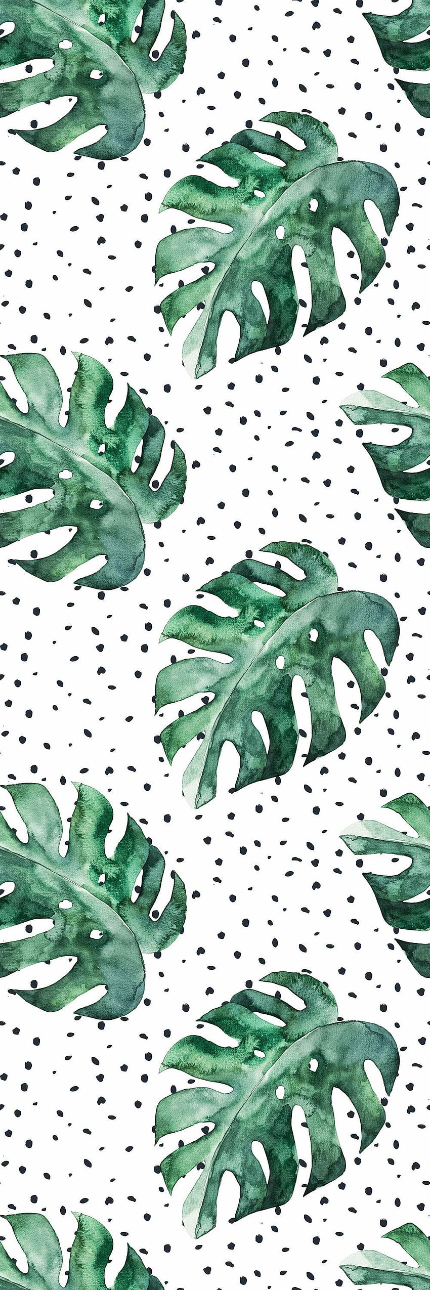 Bay Isle Home Almaden Removable Watercolor Monstera Leafs 6.25' L x 25 W Peel and Stick Roll, Watercolor Aesthetic HD phone wallpaper