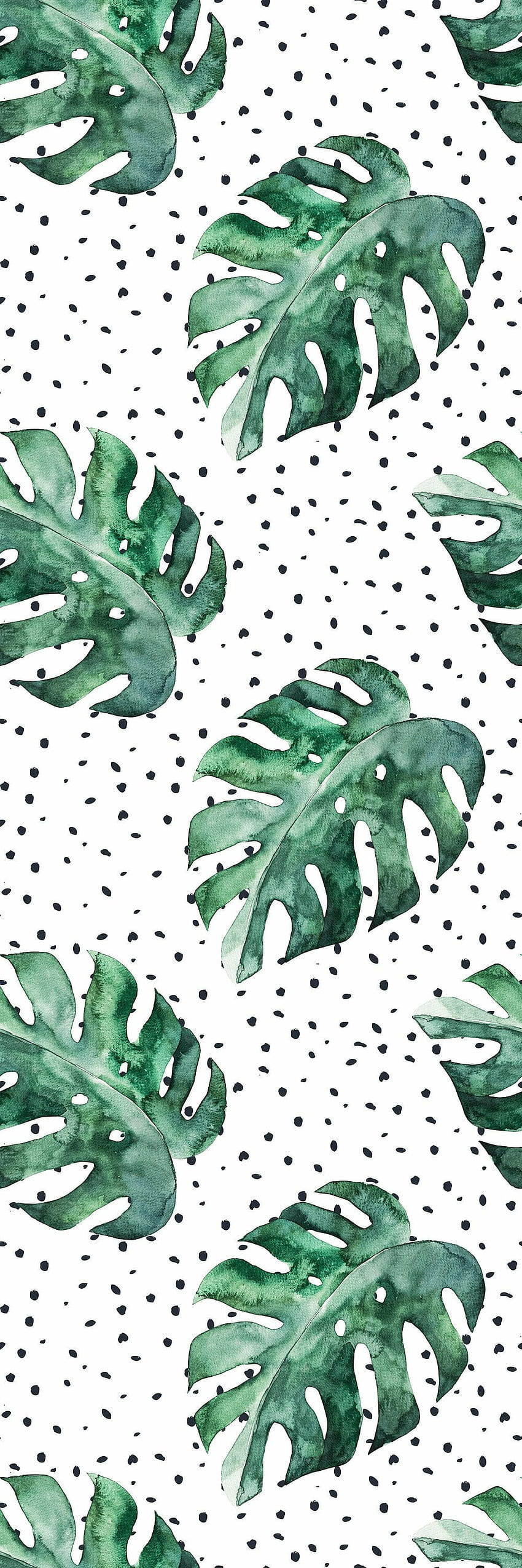 A watercolor pattern of green leaves on a white background - Monstera