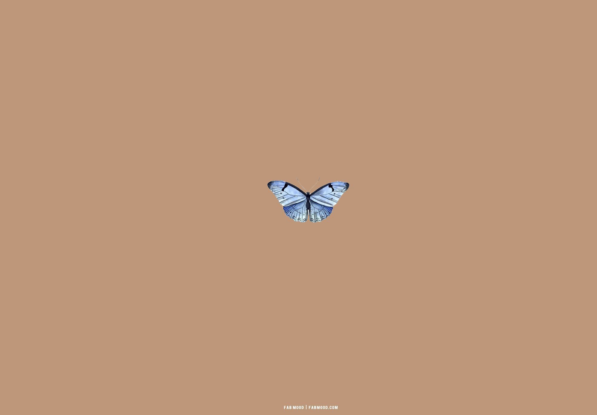 Brown Aesthetic Wallpaper for Laptop : Blue Butterfly Aesthetic Background