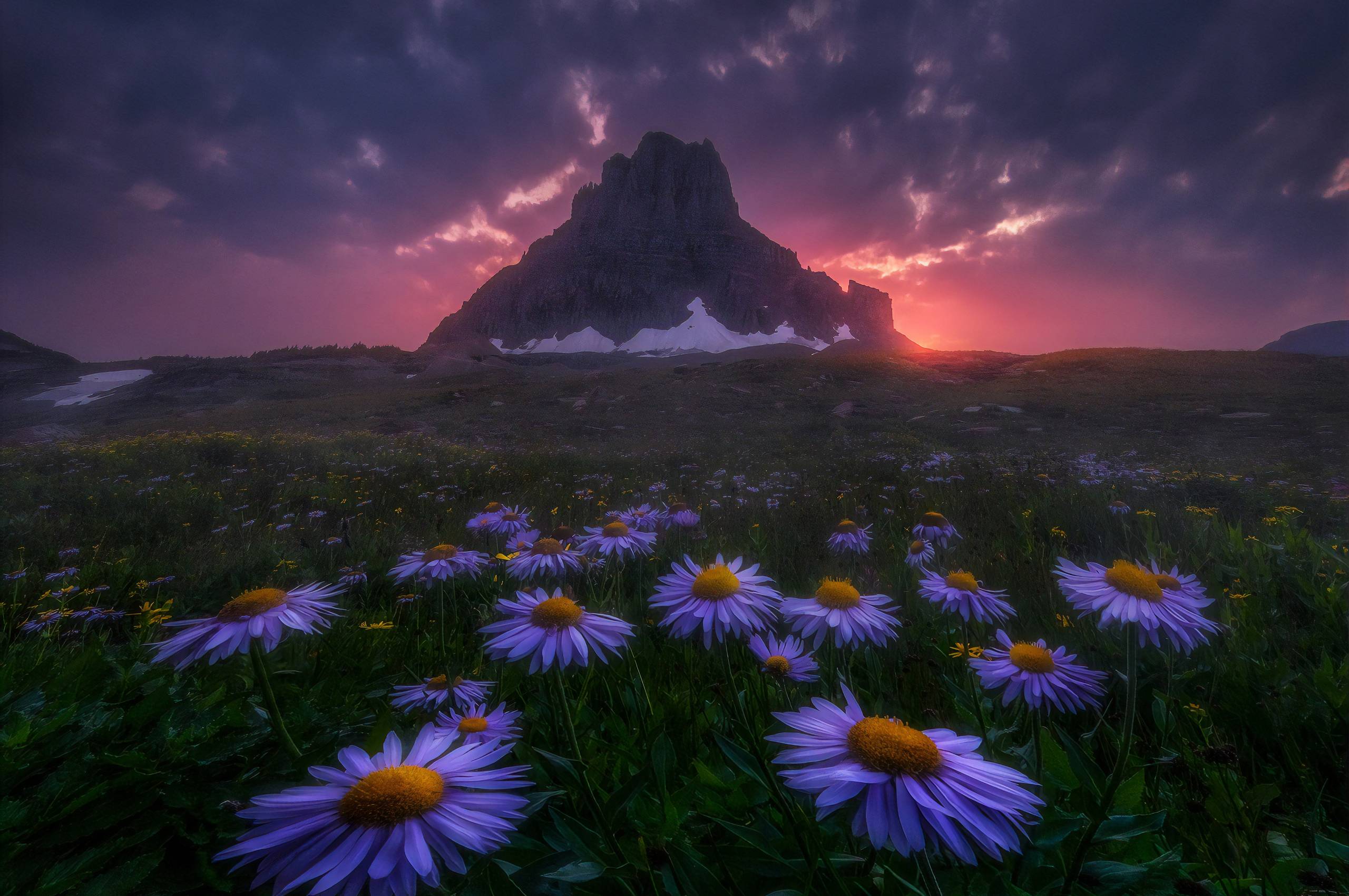 A field of purple flowers in front of a mountain with a sunset behind it. - Chromebook