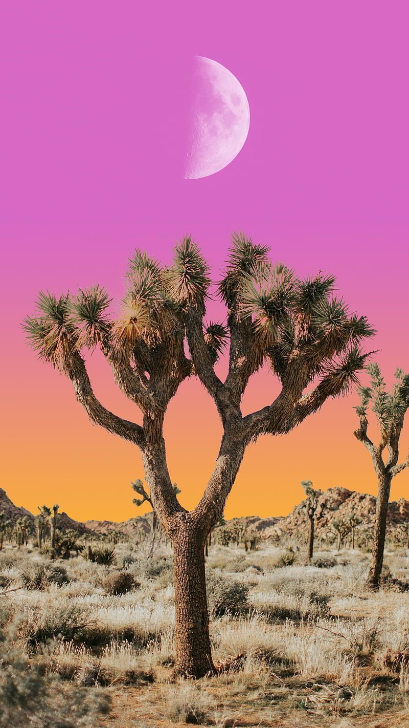 HD desert moon wallpaper