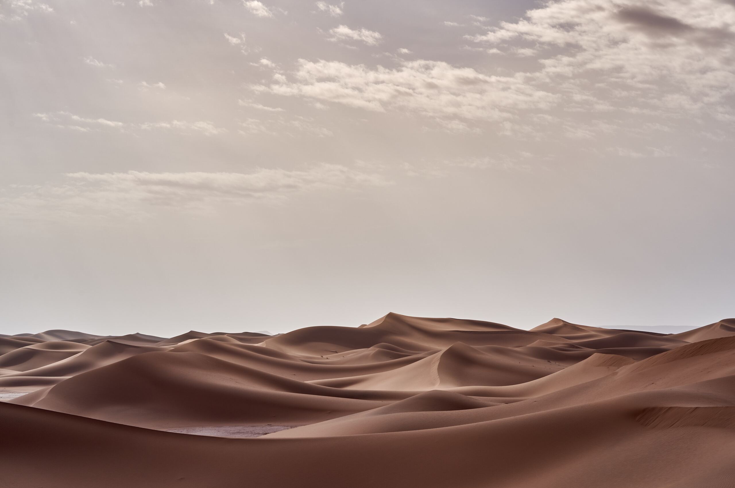 A landscape photo of sand dunes in the desert. - Desert