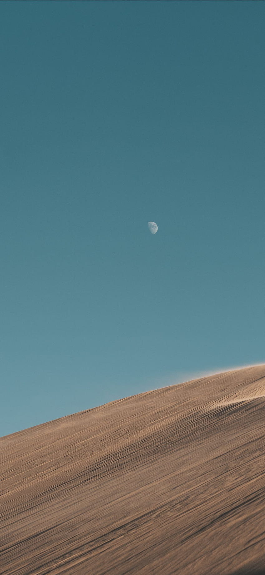 A person riding on top of sand dunes - Desert