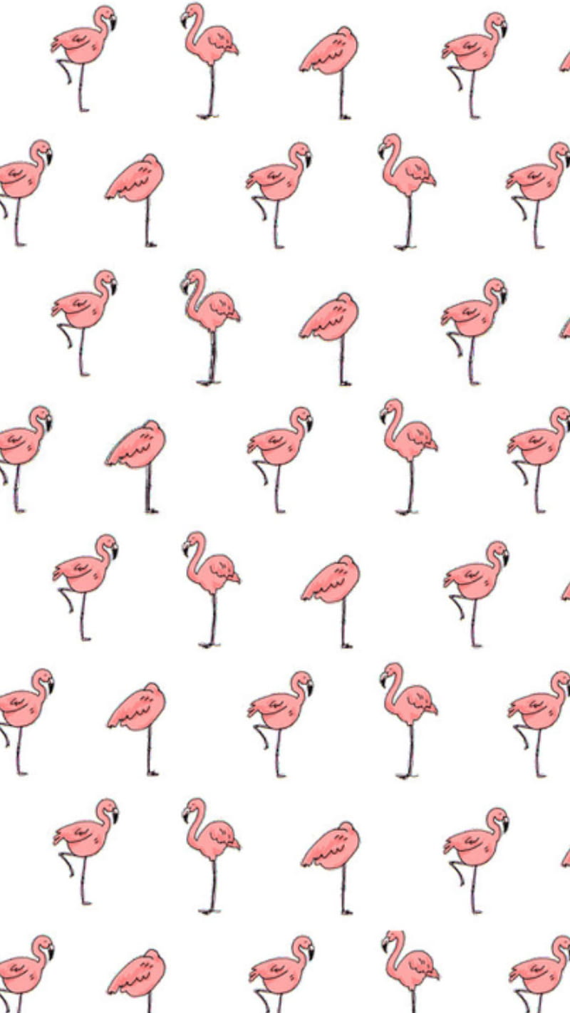 HD pink flamingo wallpaper