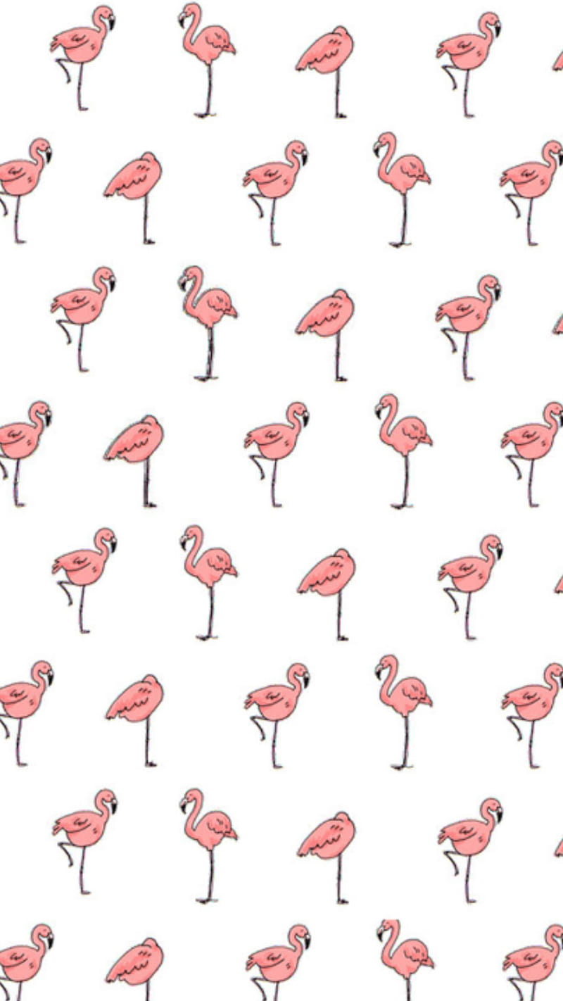 A flamingo wallpaper for your phone! - Flamingo