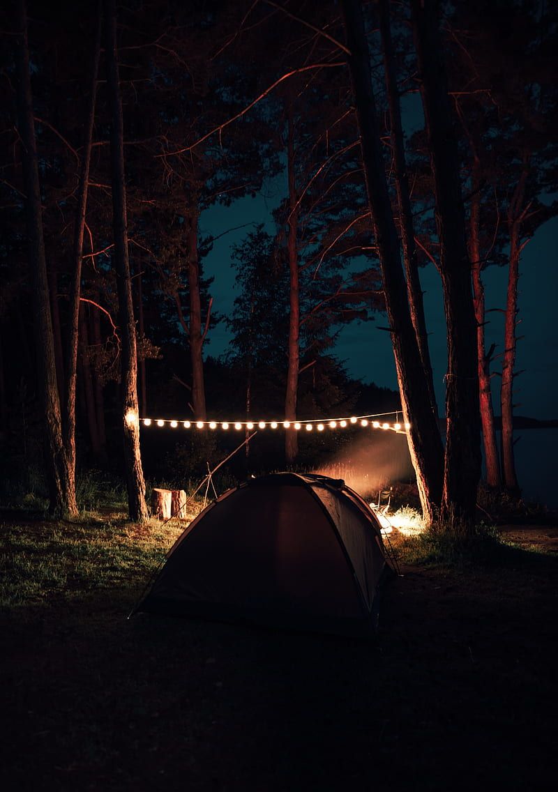 A tent with lights in the woods at night. - Camping