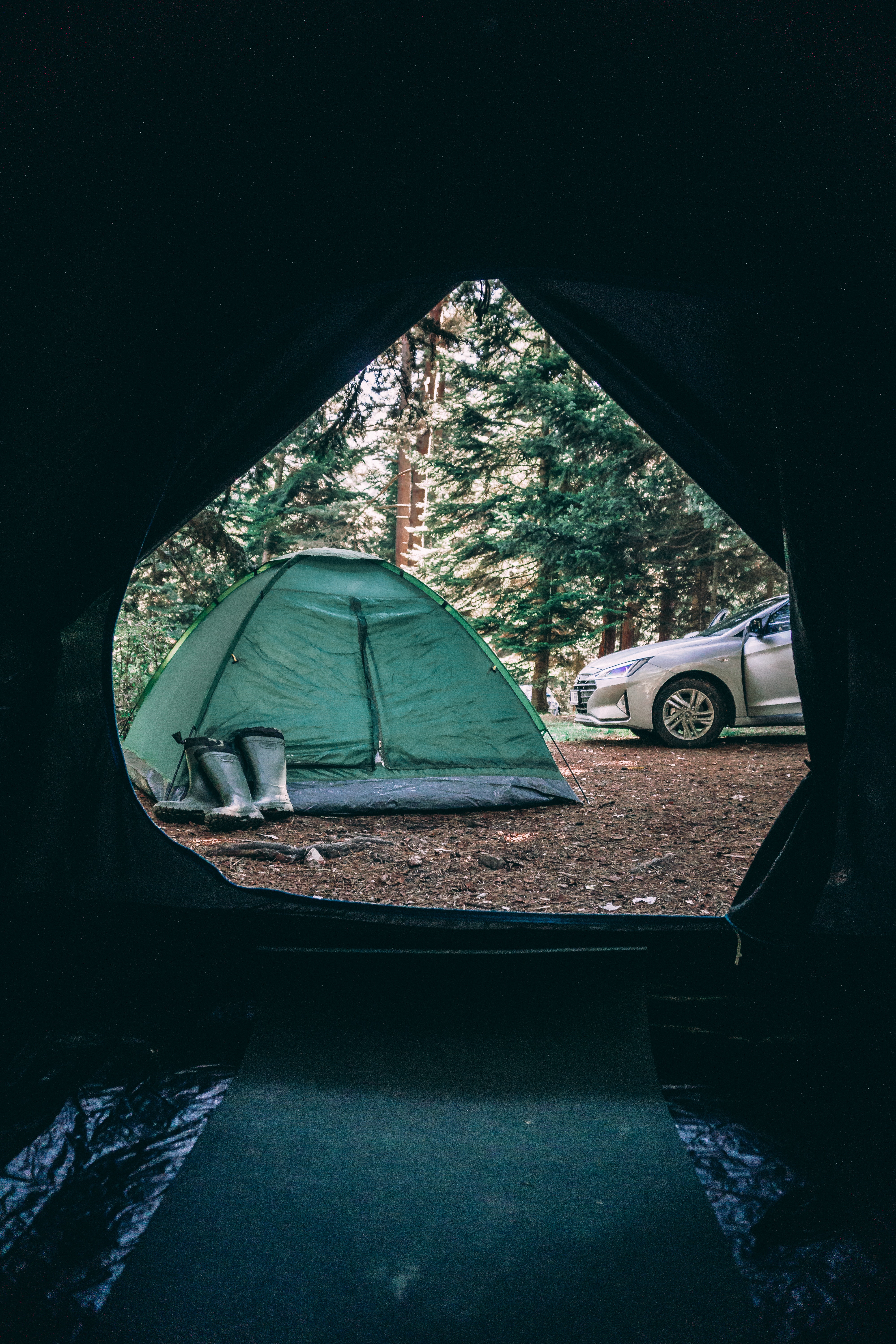 A tent in the woods, seen through the opening of a tent. - Camping