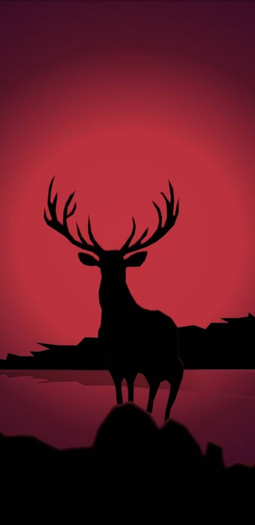 Red deer HD wallpaper