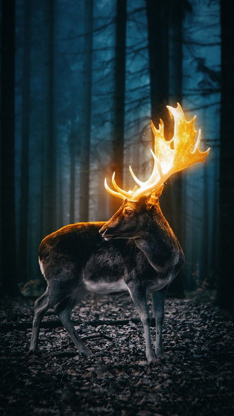 Fantasy, animal, deer, forest, lightning, HD phone wallpaper