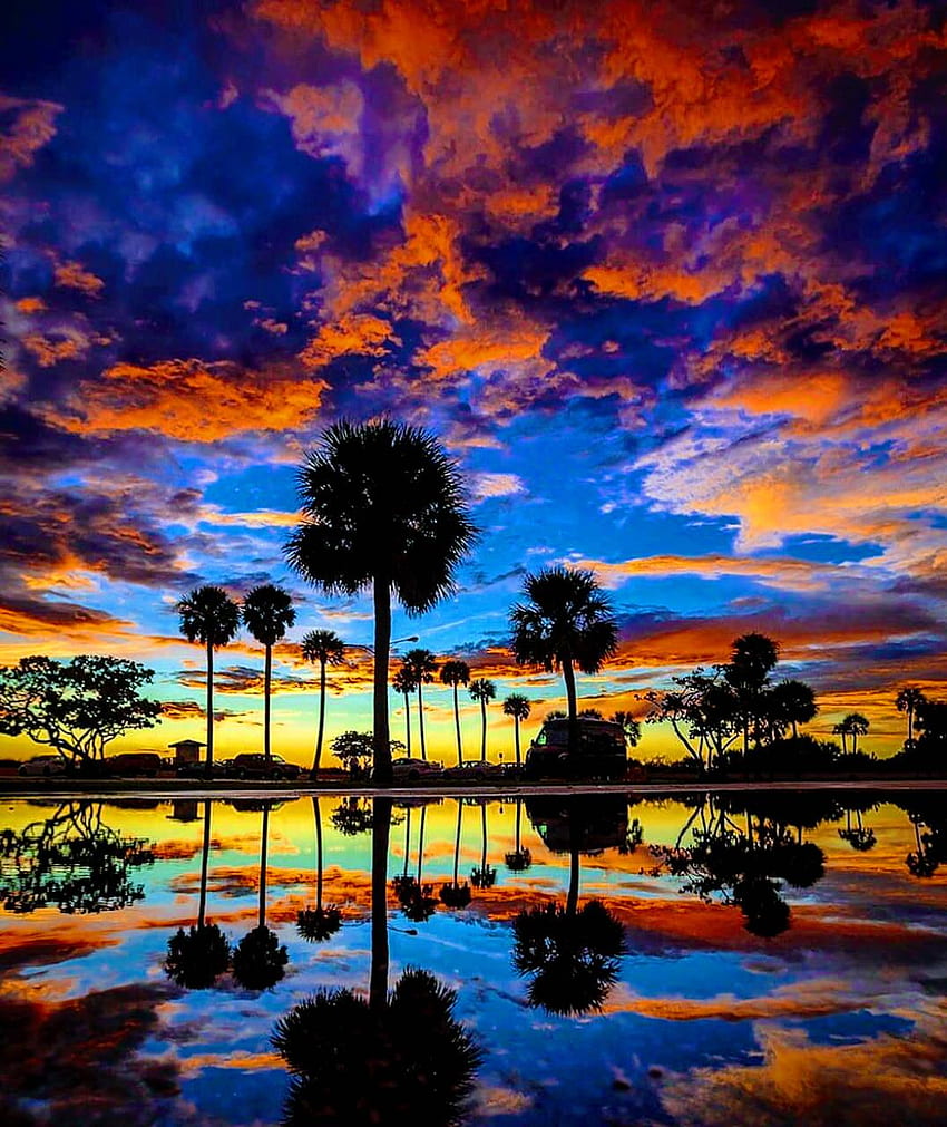Florida sunset, Florida Scenery iPhone HD phone wallpaper