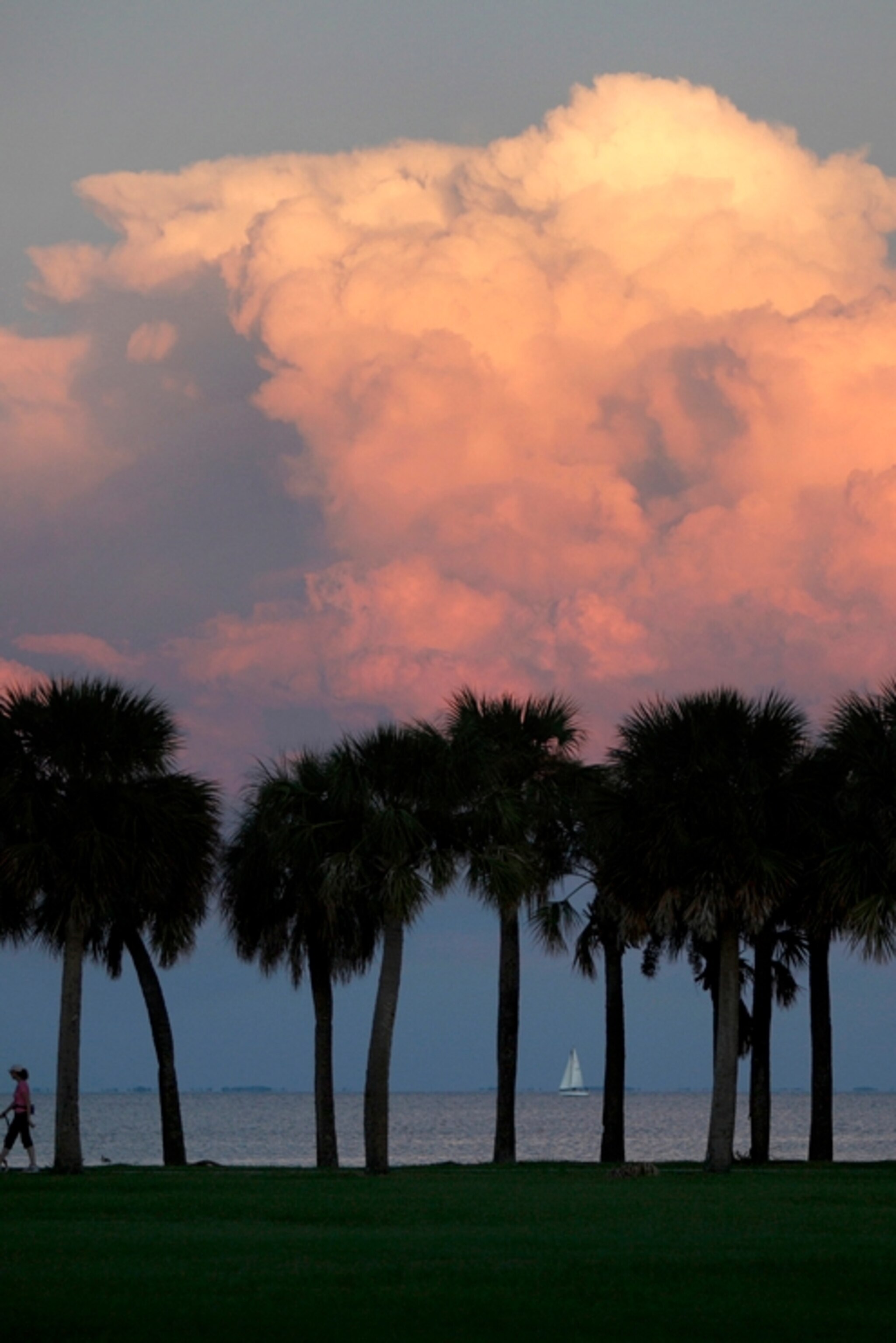 Florida Beach Photo - National Geographic