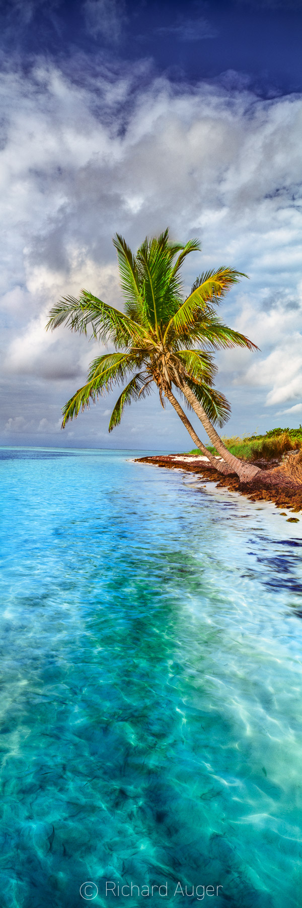 Bahia Honda Vertical Twin Palms Florida Keys Landscape Photography