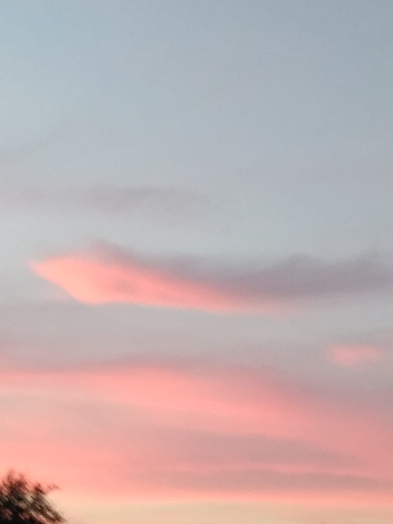 A pink cloud in the sky during sunset. - Salmon