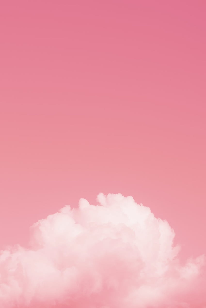 A pink sky with a white cloud - Salmon