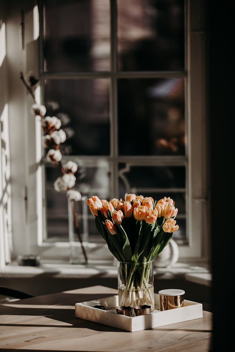 Tulips, flowers, bouquet, light, aesthetics, HD phone wallpaper