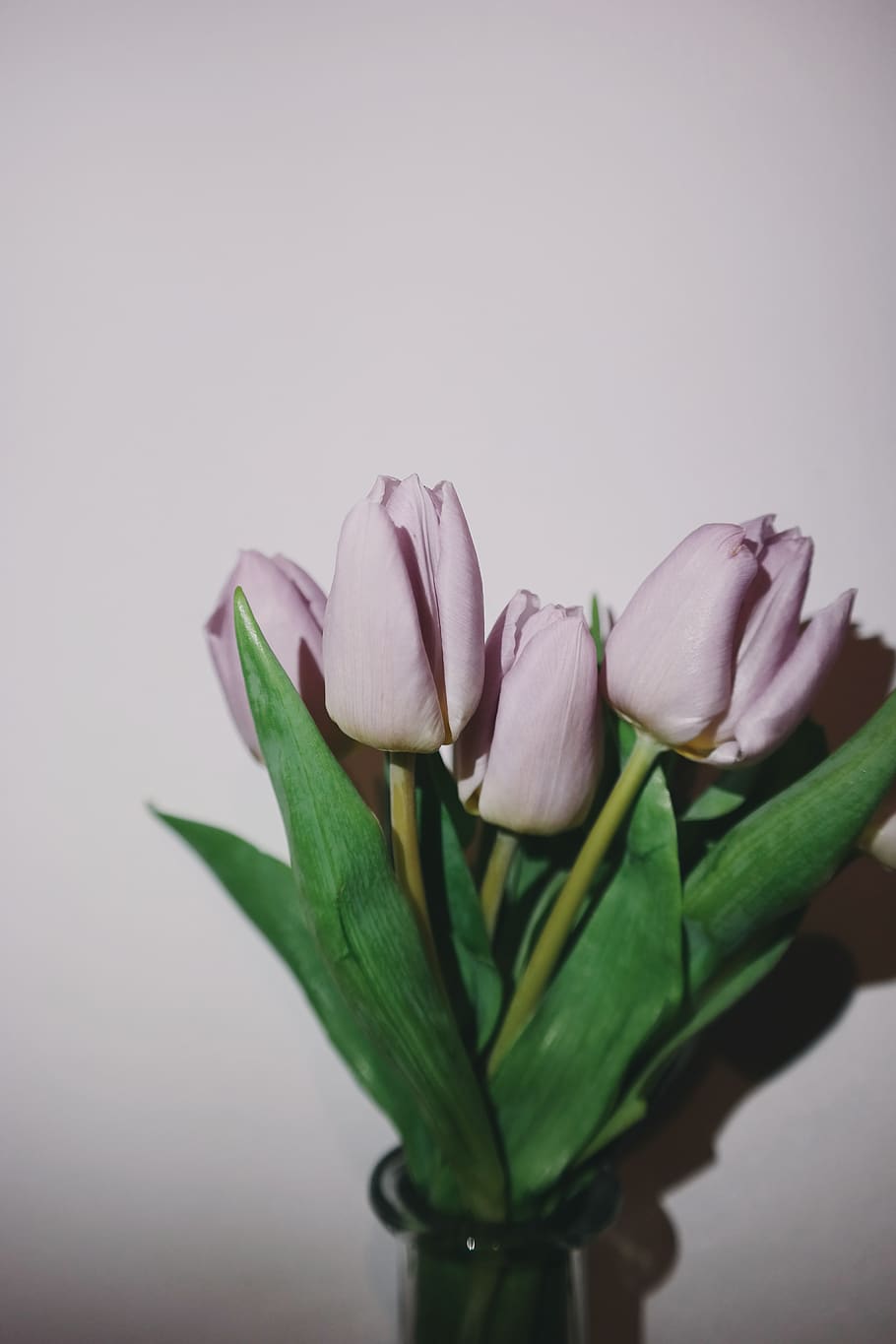 HD wallpaper: vase of flowers, wallpaper, nature, purple tulips, purple flowers